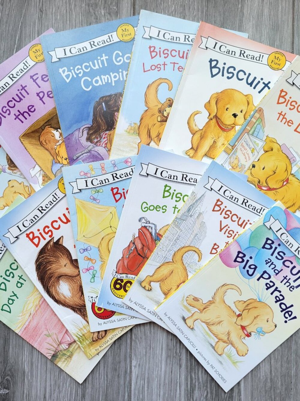 BISCUIT LOT OF 12 I CAN READ SHARED MY FIRST READING KIDS PICTURE BOOKS PHONICS